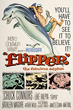 Flipper (1963) starring Chuck Connors on DVD on DVD